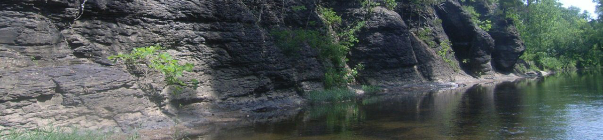 Back Creek Watershed